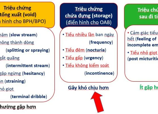 bệnh nam khoa